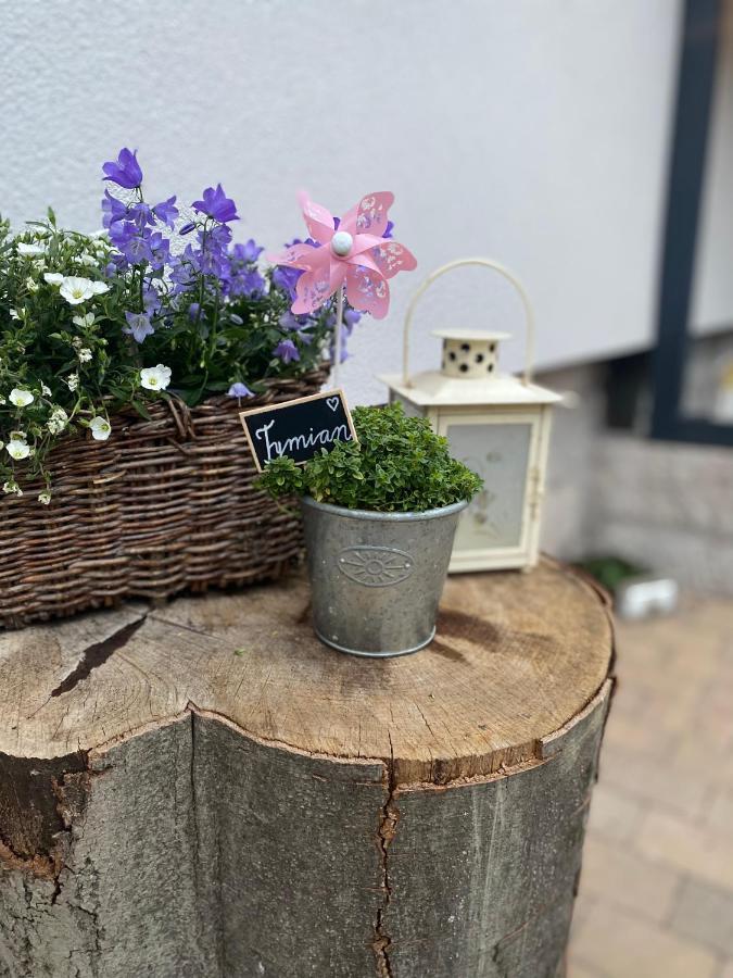 Apartman Ana Terchová Esterno foto